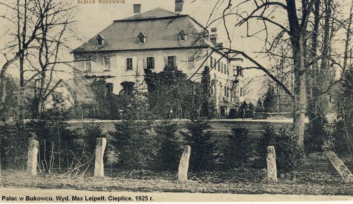 Bukowiec, Pałac 1925 r.