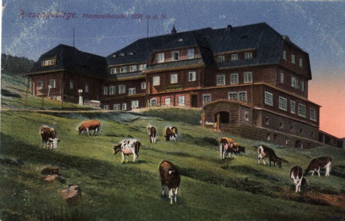 Schronisko g&oacute;rskie Strzecha Akademicka, Karpacz, Karkonosze. Stara poczt&oacute;wka ok 1920 r.