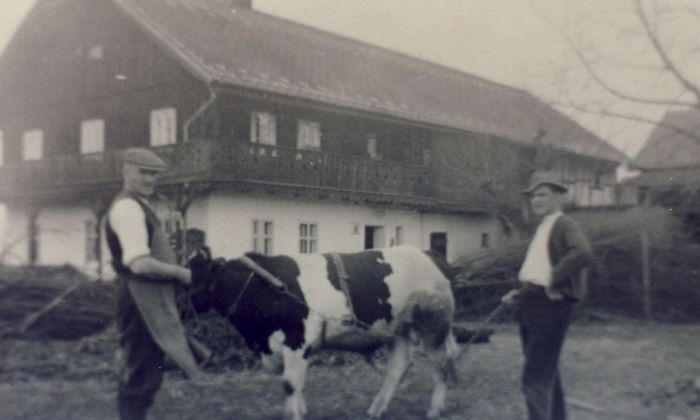 Mysłakowice (niem. Zillerthal-Erdmannsdorf, Erdmannsdorf) dom tyrolski ul.Łomnicka 1