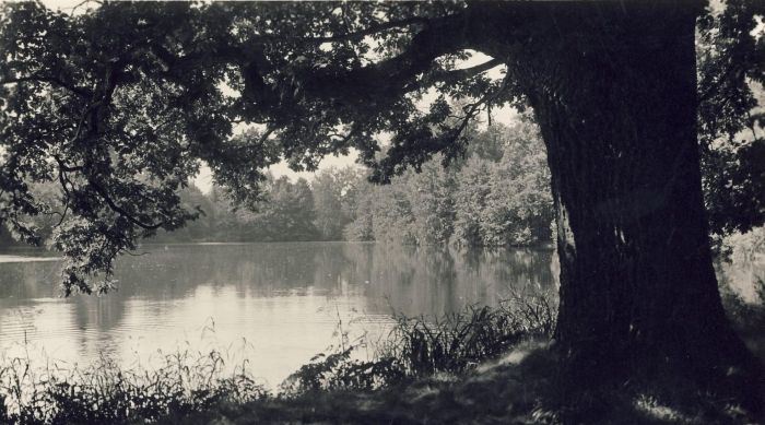 1935 r. Erdmannsdorf (Mysłakowice). Park obok Pałacu. 