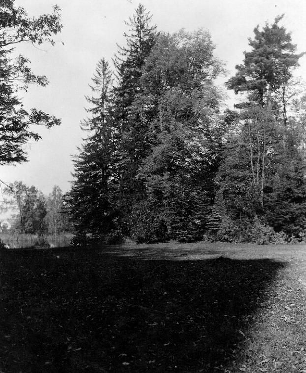 Park obok Pałacu w Mysłakowicach.1940 rok