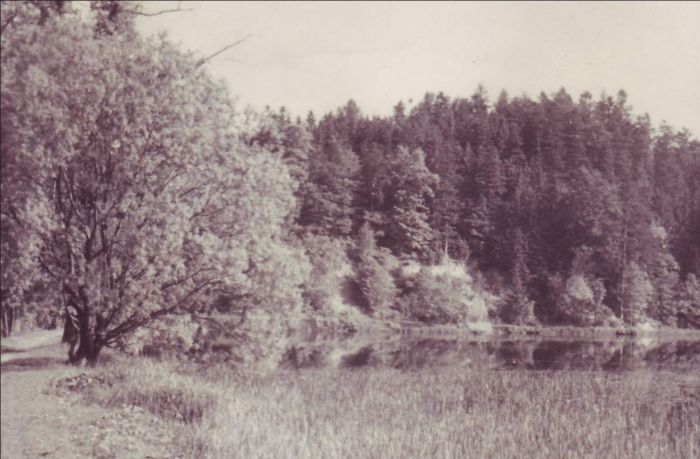 Pierwszy od strony Mysłakowic staw w Bukowcu, ok 1955 rok. 