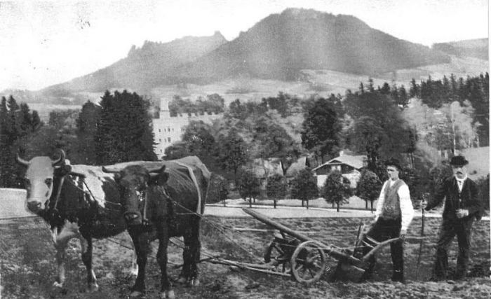 Karpniki (niem. Fischbach). 1907 rok