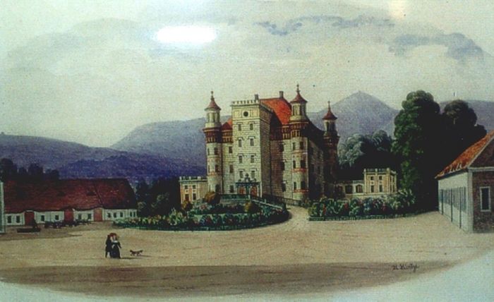 Pałac Wojan&oacute;w. Grafika XIX wiek