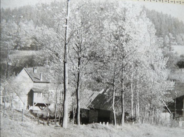 Krogulec. Ok 1970 rok