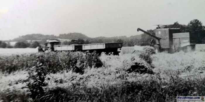 Kombajn Bizon na polach w okolicach Wojanowa. 1974 rok.