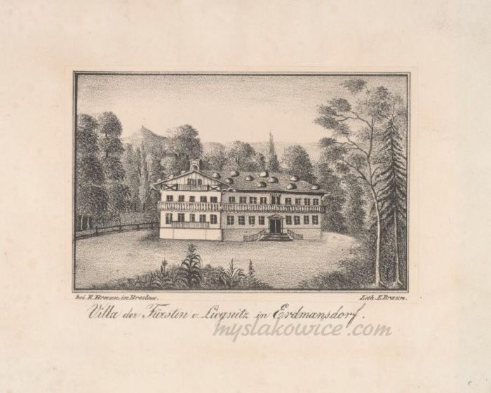 Mysłakowice (Erdmannsdorf und Zillerthal). ok 1850 rok. E.Braun rytownik. Mała Skoła, Dom Wdowy