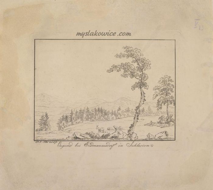 Tittel, Friedrich August (1782-1836) Rytownik, Mysłakowice (Erdmannsdorf und Zillerthal)