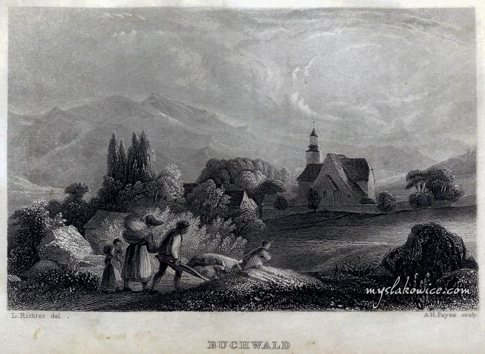 Bukowiec (niem. Buchwald, czes. Bukovn&iacute;k). ok 1850 rok