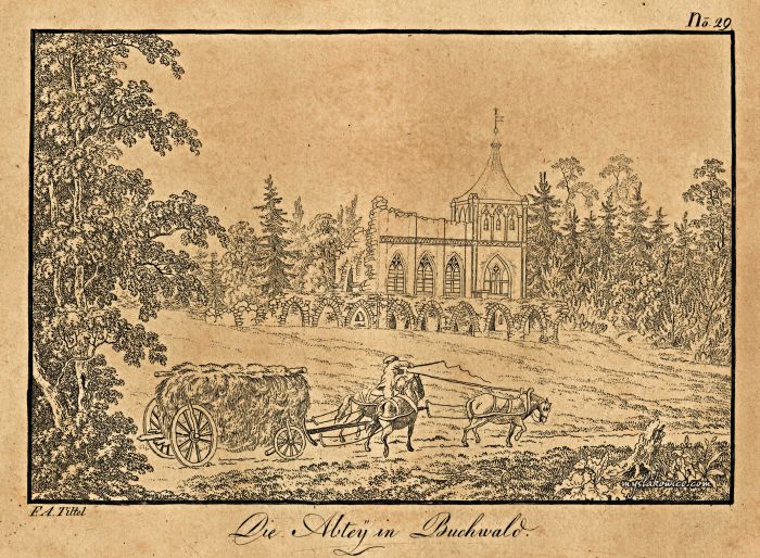 Bukowiec (niem. Buchwald, czes. Bukovn&iacute;k) ok 1820 rok