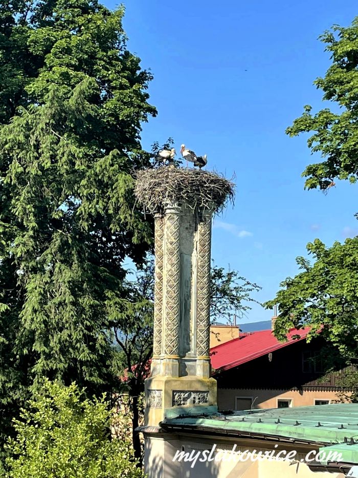 Mysłakowice, szkoła podstawowa. 2000-2023 rok.