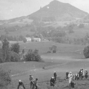 Młodzież ze szkoły w Mysłakowicach sadzi las w Karpnikach. 1960 r.