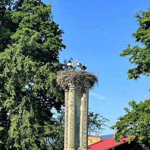 Mysłakowice, szkoła podstawowa. 2000-2023 rok.