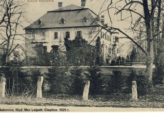 Bukowiec, Pałac 1925 r.