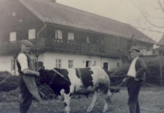 Mysłakowice (niem. Zillerthal-Erdmannsdorf, Erdmannsdorf) dom tyrolski ul.Łomnicka 1