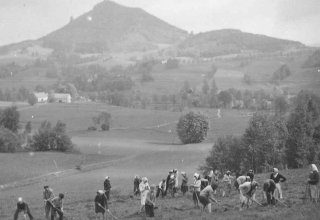 Młodzież ze szkoły w Mysłakowicach sadzi las w Karpnikach. 1960 r.