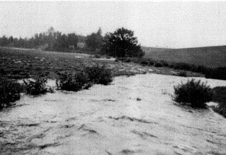 Wiosenna pow&oacute;dź na polach należących do folwarku Pałacu w Mysłakowicach. Ok 1937 rok
