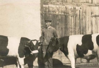 Folwark należący do Pałacu w Mysłakowicach ok 1937 rok. 
