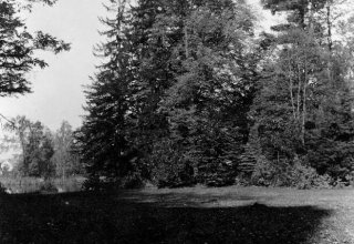 Park obok Pałacu w Mysłakowicach.1940 rok