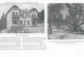 Zajazd Buchenbaude, obok 300 letni buk. Koło Kowar (niem. Schmiedeberg im Riesengebirge). 1931 rok