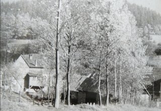 Krogulec. Ok 1970 rok