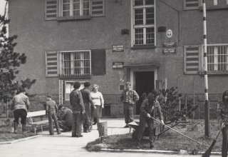 29 kwietnia 1973 roku. Dzień czyn&oacute;w społecznych w Gminie Mysłakowice. Pracownicy Urzędu Gminu porządkują teren.