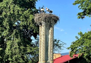 Mysłakowice, szkoła podstawowa. 2000-2023 rok.