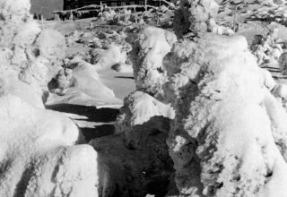 Riesengebirge. Reiftr&uuml;gerbaude 1365 m.&uuml;.d.M.[1930-1945]. Schroniska turystyczne Szrenica