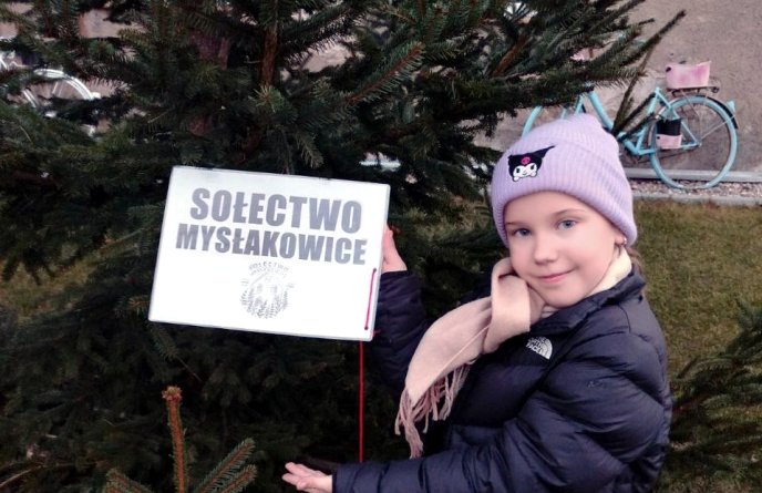 W Mysłakowicach pojawi się wyjątkowa, sześciometrowa choinka świąteczna, która powstanie dzięki społecznej inicjatywie 